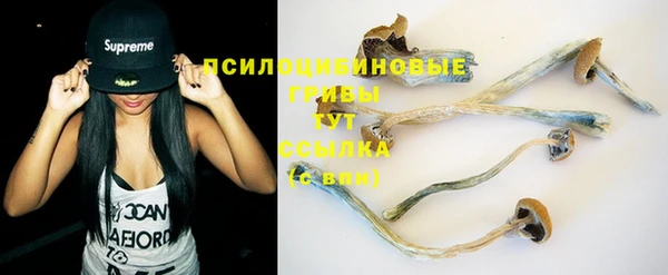 ешки Богданович