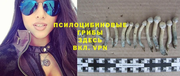 гашишное масло Богородицк