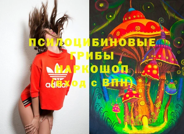 ешки Богданович